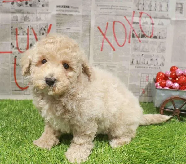 3517_26523-05_94959-1_e3a8cef0-eccf-4549-ac93-9ac68658a056.jpg image