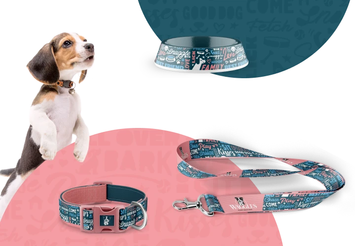 Waggles Has You Covered!