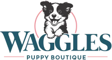 Waggles Raleigh