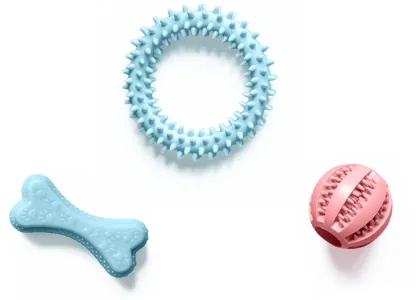 At Waggles Raleigh, we provide a variety of toys.